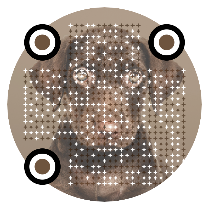 QR Artístico Dog